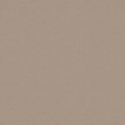 PARASOL OYSTER thumbnail 3