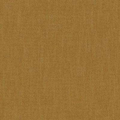 Parker Canary thumbnail 3