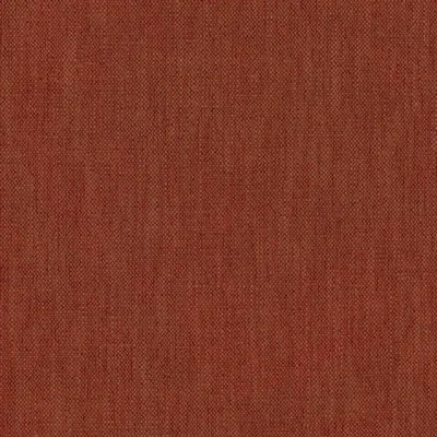 Parker Carrot thumbnail 3