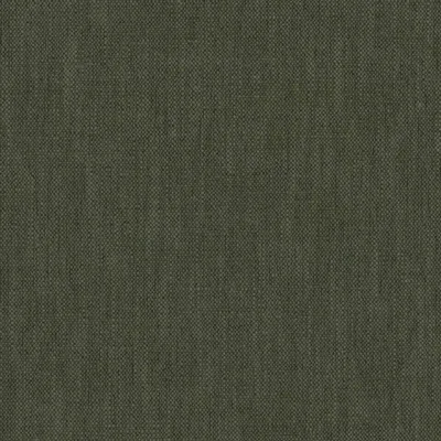 Parker Ivy thumbnail 3