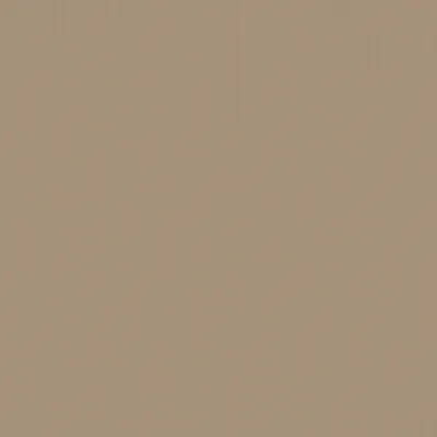 PLAYA CAMEL thumbnail 3