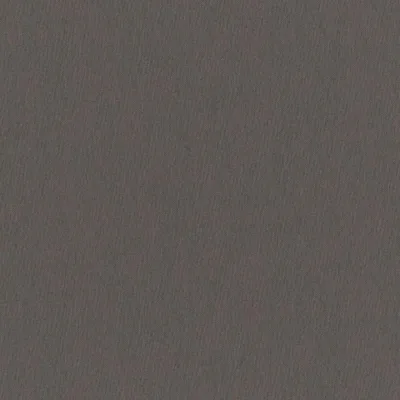 PLAYA DOLPHIN thumbnail 3