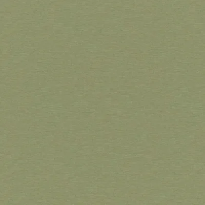 PLAYA LIME thumbnail 3