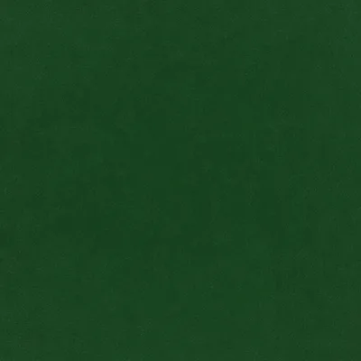 PLUSH VELVET EVERGREEN thumbnail 3