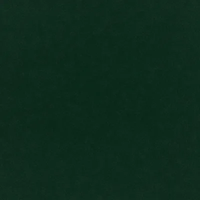 PLUSH VELVET HUNTER thumbnail 3