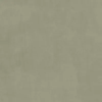 PLUSH VELVET LICHEN thumbnail 3