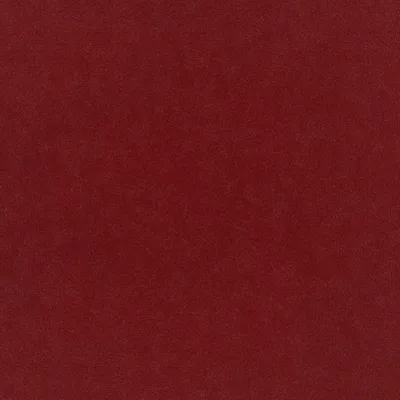 PLUSH VELVET ROUGE thumbnail 3