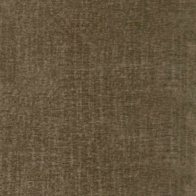 Pradha Fennel thumbnail 3