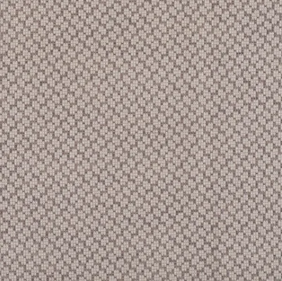 FAULKNER COFFEE — Pulitzer - DISCONTINUED swatch, view 1