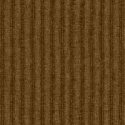 RACER CURRY thumbnail 3