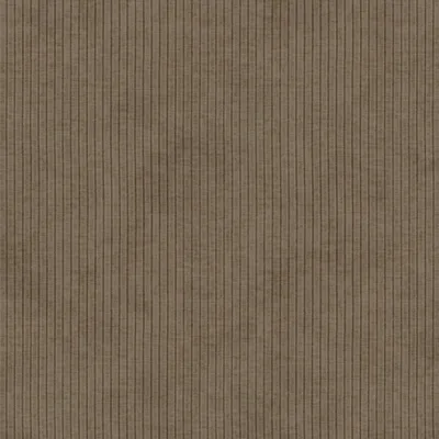 RACER SHIITAKE thumbnail 3