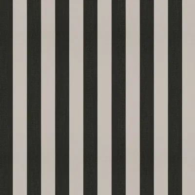 RAYA COAL thumbnail 3