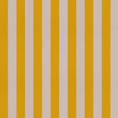 RAYA DAFFODIL thumbnail 3