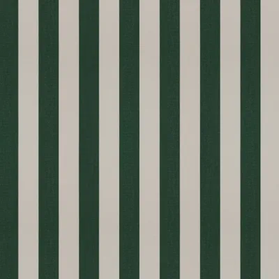 RAYA EVERGREEN thumbnail 3