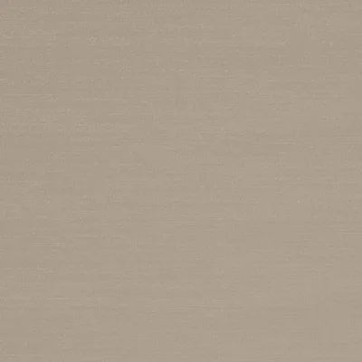 RENARD ANTIQUE thumbnail 3