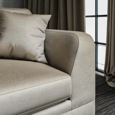 RENARD ANTIQUE thumbnail 4