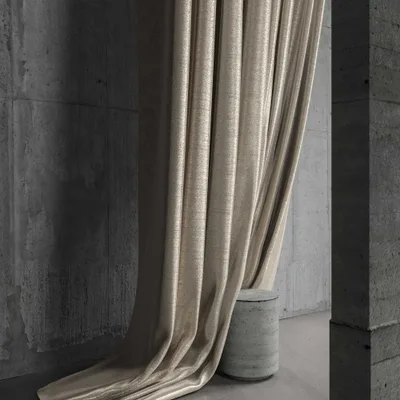 RENARD ANTIQUE thumbnail 5