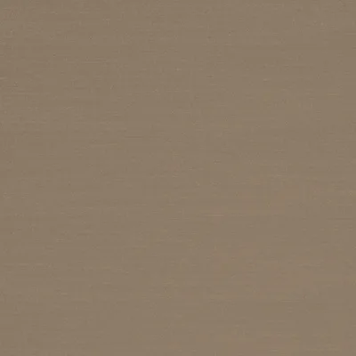 RENARD BARK thumbnail 3