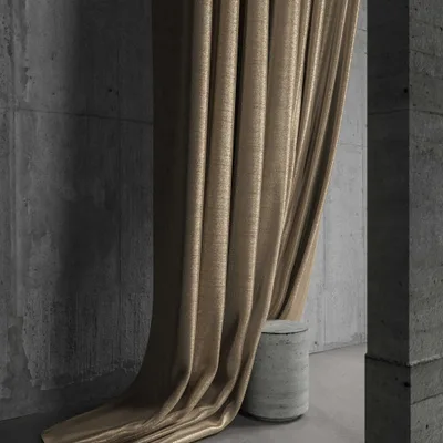 RENARD BARK thumbnail 5