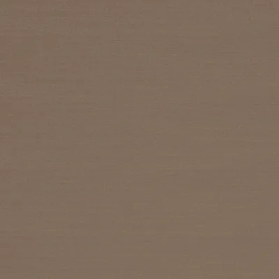 RENARD BRONZE thumbnail 3