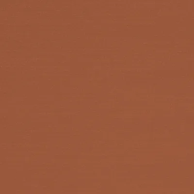 RENARD COPPER thumbnail 3