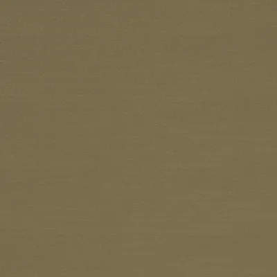 RENARD FERN thumbnail 3