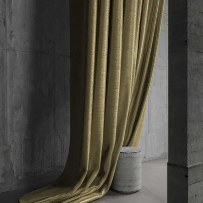 RENARD FERN thumbnail 5