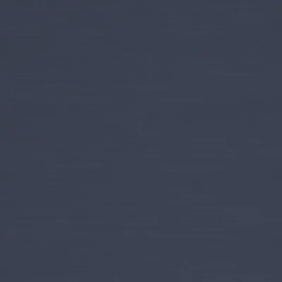 RENARD HORIZON thumbnail 3