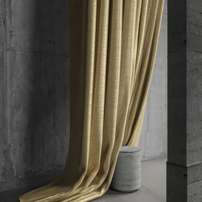 RENARD LICHEN thumbnail 5