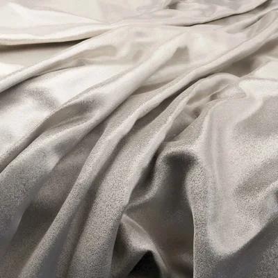 RENARD MAGNESIUM thumbnail 2