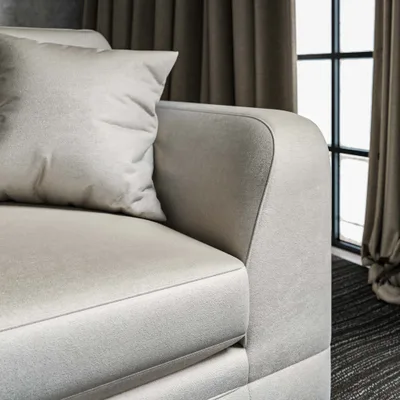 RENARD MIST thumbnail 4