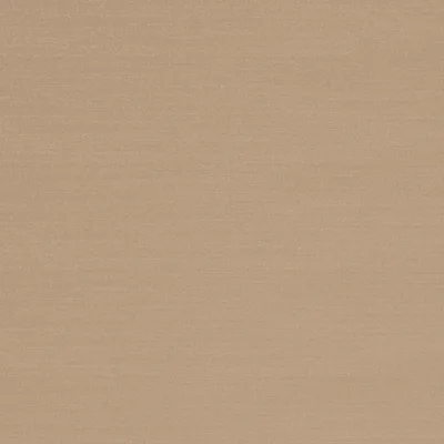 RENARD MUSHROOM thumbnail 3