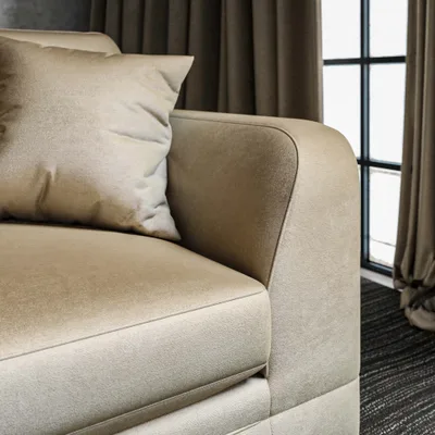 RENARD MUSHROOM thumbnail 4