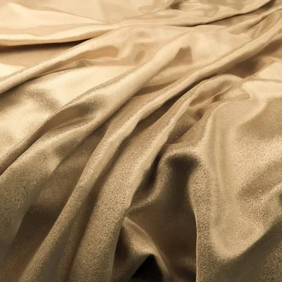 RENARD OLDGOLD thumbnail 2