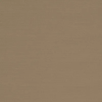 RENARD ORE thumbnail 3