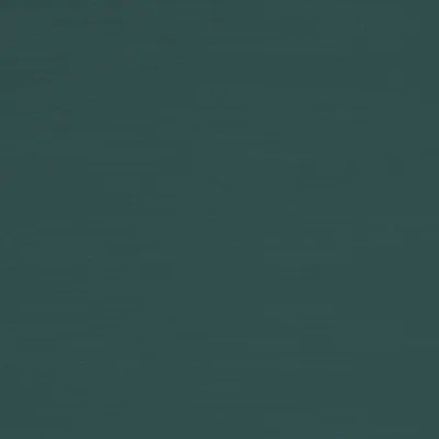 RENARD PETROL thumbnail 3