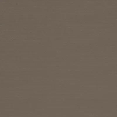 RENARD STORM thumbnail 3