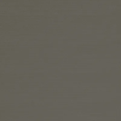 RENARD TAUPE thumbnail 3