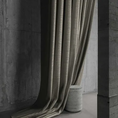 RENARD TAUPE thumbnail 5