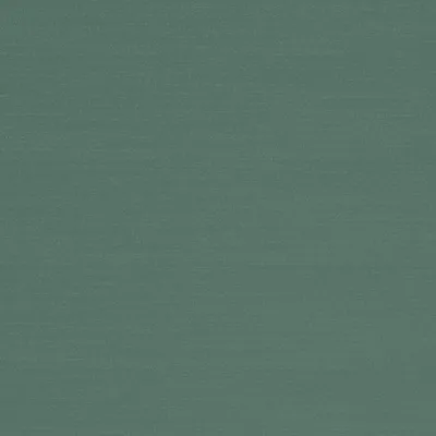 RENARD TEAL thumbnail 3