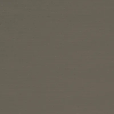 RENARD THUNDER thumbnail 3