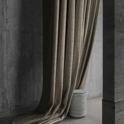 RENARD THUNDER thumbnail 5