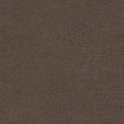 SAGA BAOBAB thumbnail 3