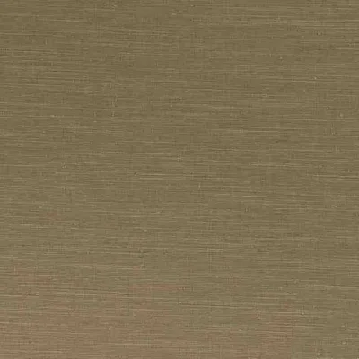 SARI BRASS thumbnail 3