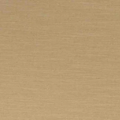 SARI CHAMPAGNE thumbnail 3