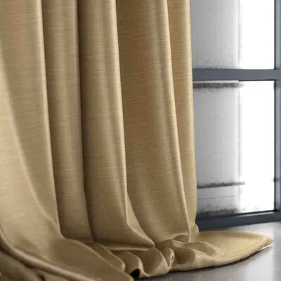 SARI CHAMPAGNE thumbnail 4