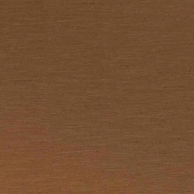 SARI COPPER thumbnail 3