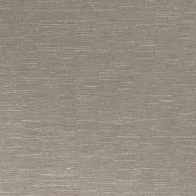 SARI DOVE thumbnail 3