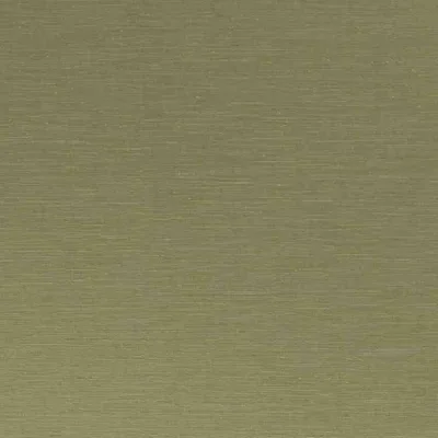 SARI FENN thumbnail 3