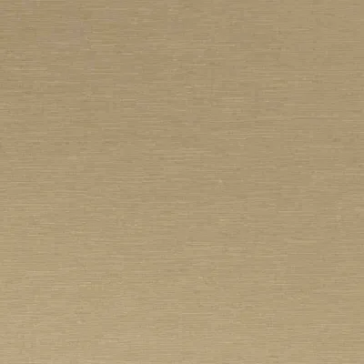 SARI VANILLA thumbnail 3